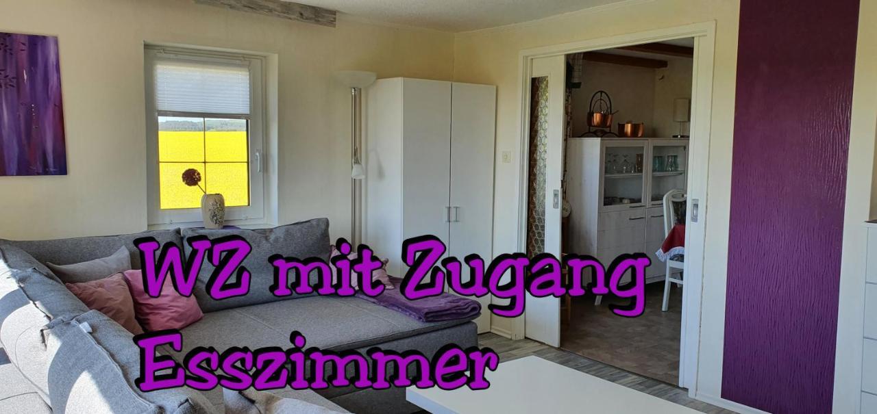 Landhaus "Kuehler Morgen", Komfortable 65 Qm Fewo Mit Gehobener Ausstattung, Garten, Baby- Und Kindgerecht Apartment Saalburg Bagian luar foto