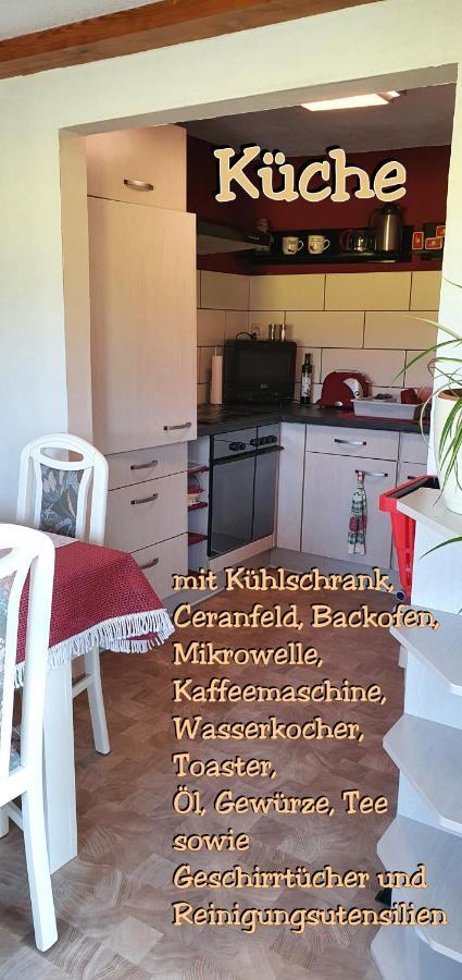 Landhaus "Kuehler Morgen", Komfortable 65 Qm Fewo Mit Gehobener Ausstattung, Garten, Baby- Und Kindgerecht Apartment Saalburg Bagian luar foto