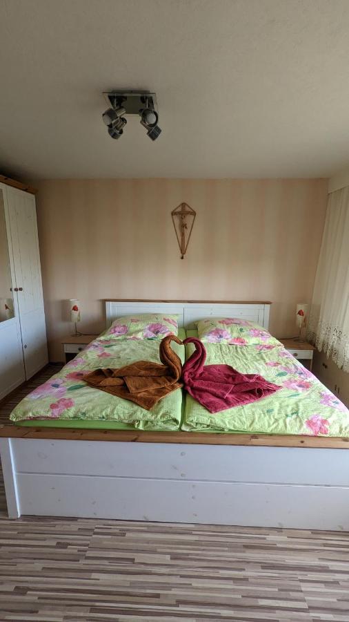 Landhaus "Kuehler Morgen", Komfortable 65 Qm Fewo Mit Gehobener Ausstattung, Garten, Baby- Und Kindgerecht Apartment Saalburg Bagian luar foto